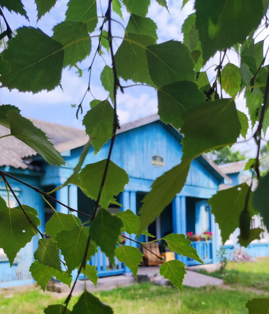 Zdjęcie błękitnego, drewnianego domku Osiedla Przyjaźń